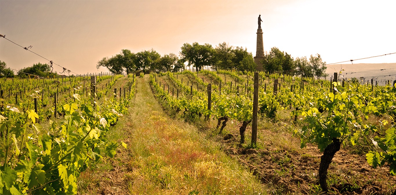 VerzierVins