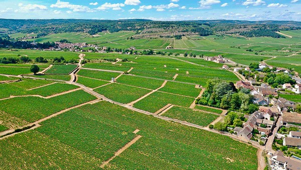 GaunouxDomaine